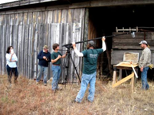 production still